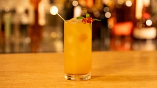 schweppes_elixir-saboroso_l_thumb.jpg