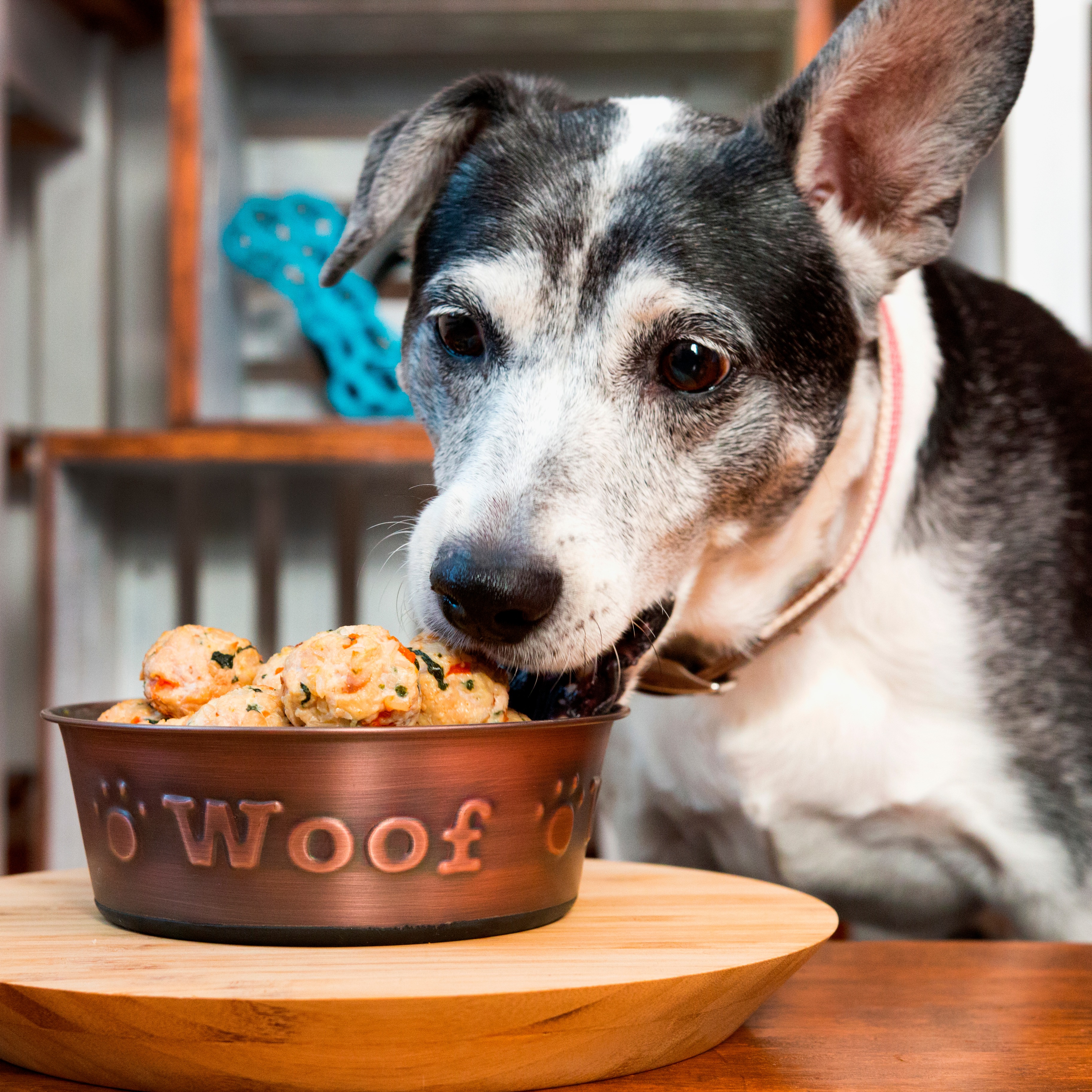 Chicken meatballs shop for dogs