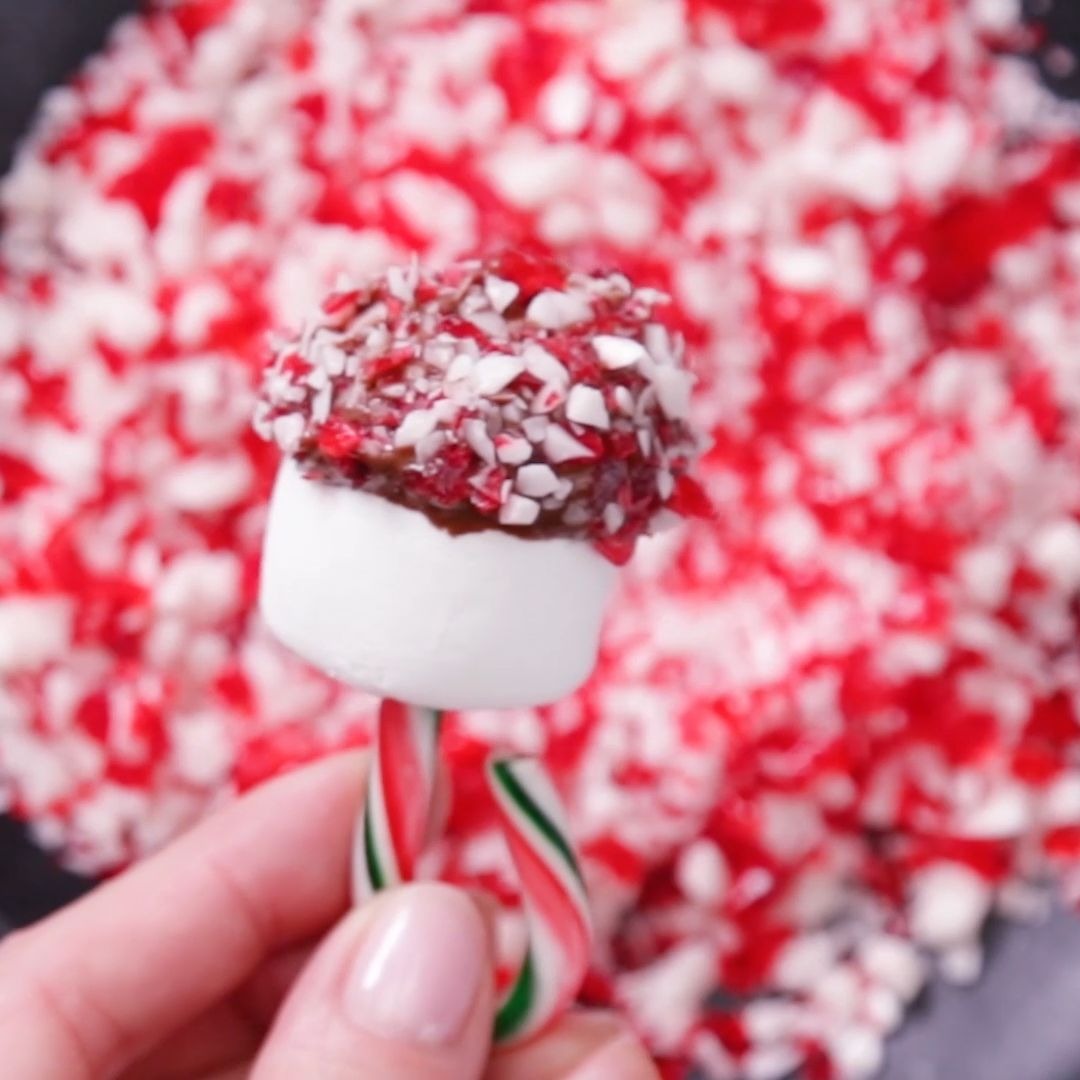 Candy Cane Hot Chocolate Marshmallows Tastemade