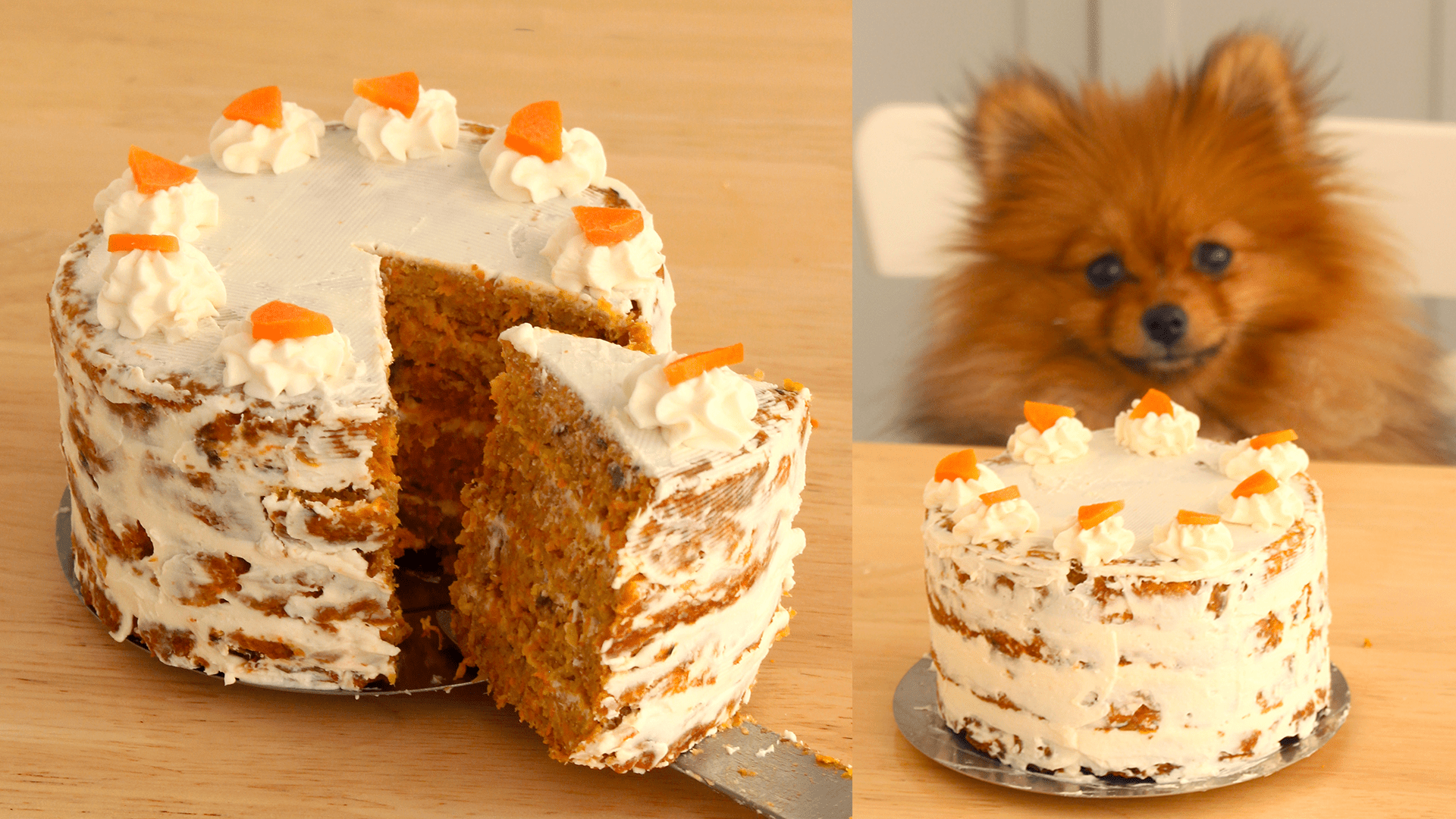 Dog 2025 cake carrot