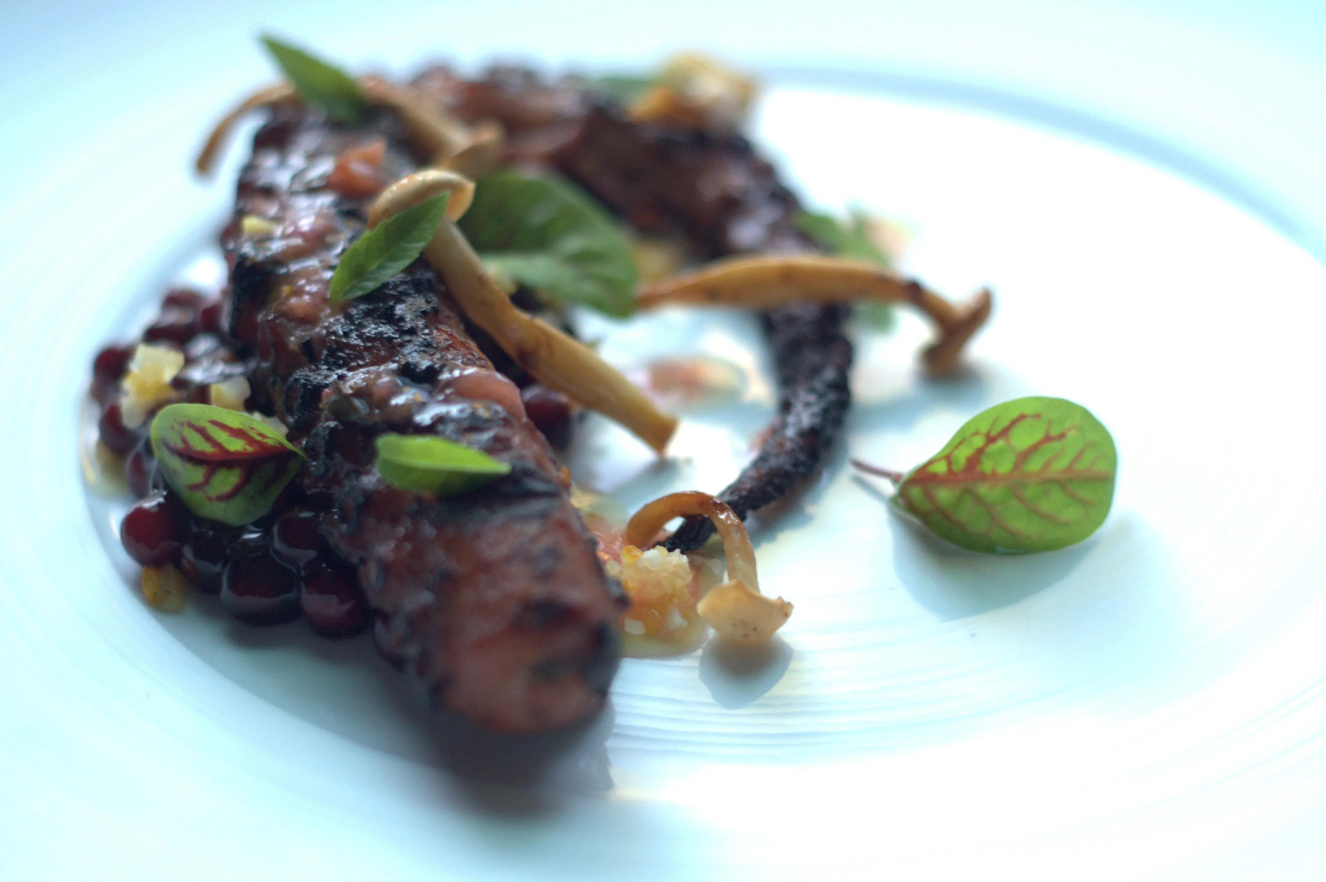 Joseph Gaude Tastemade