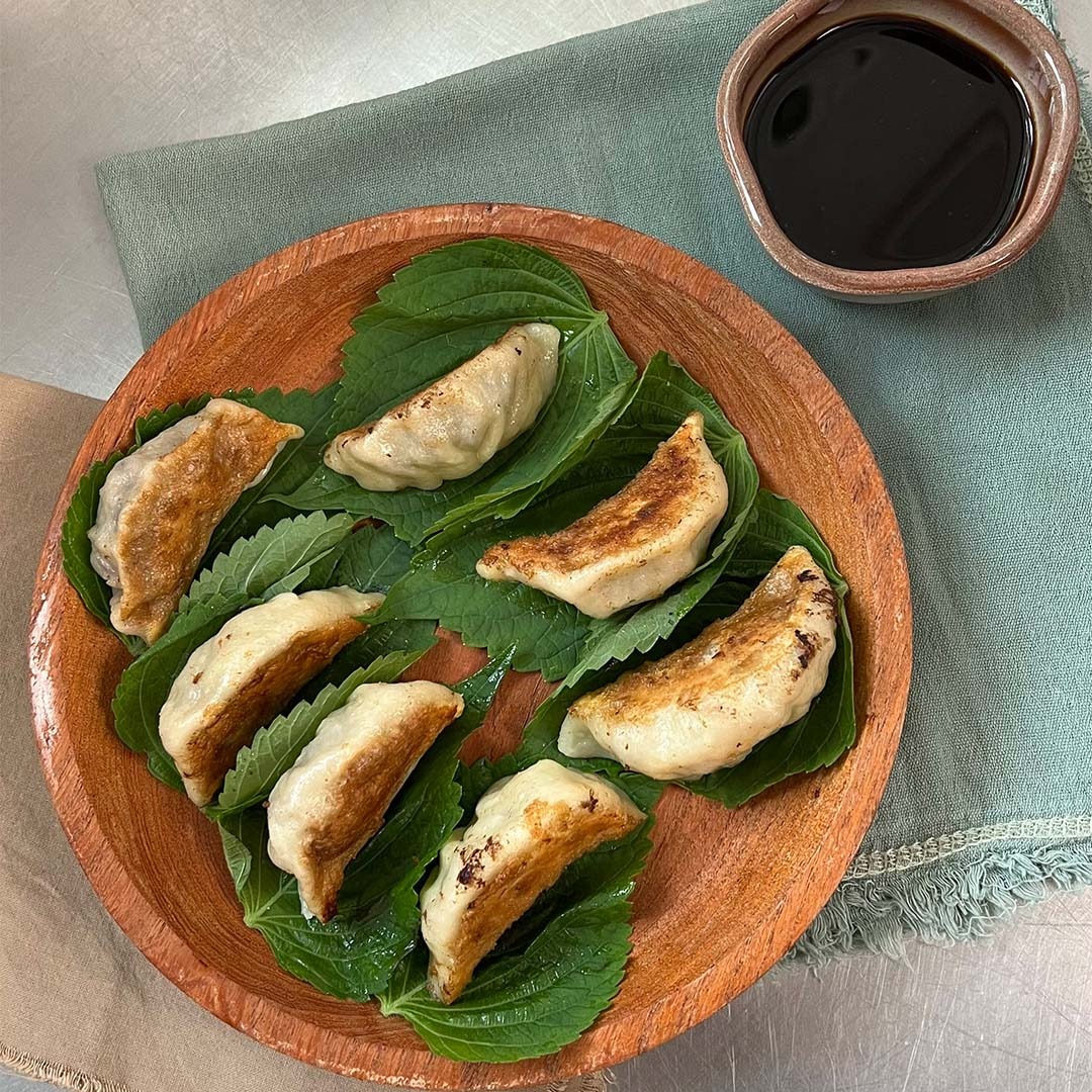 BEEF, GOCHUJANG AND SHISO POTSTICKERS Tastemade