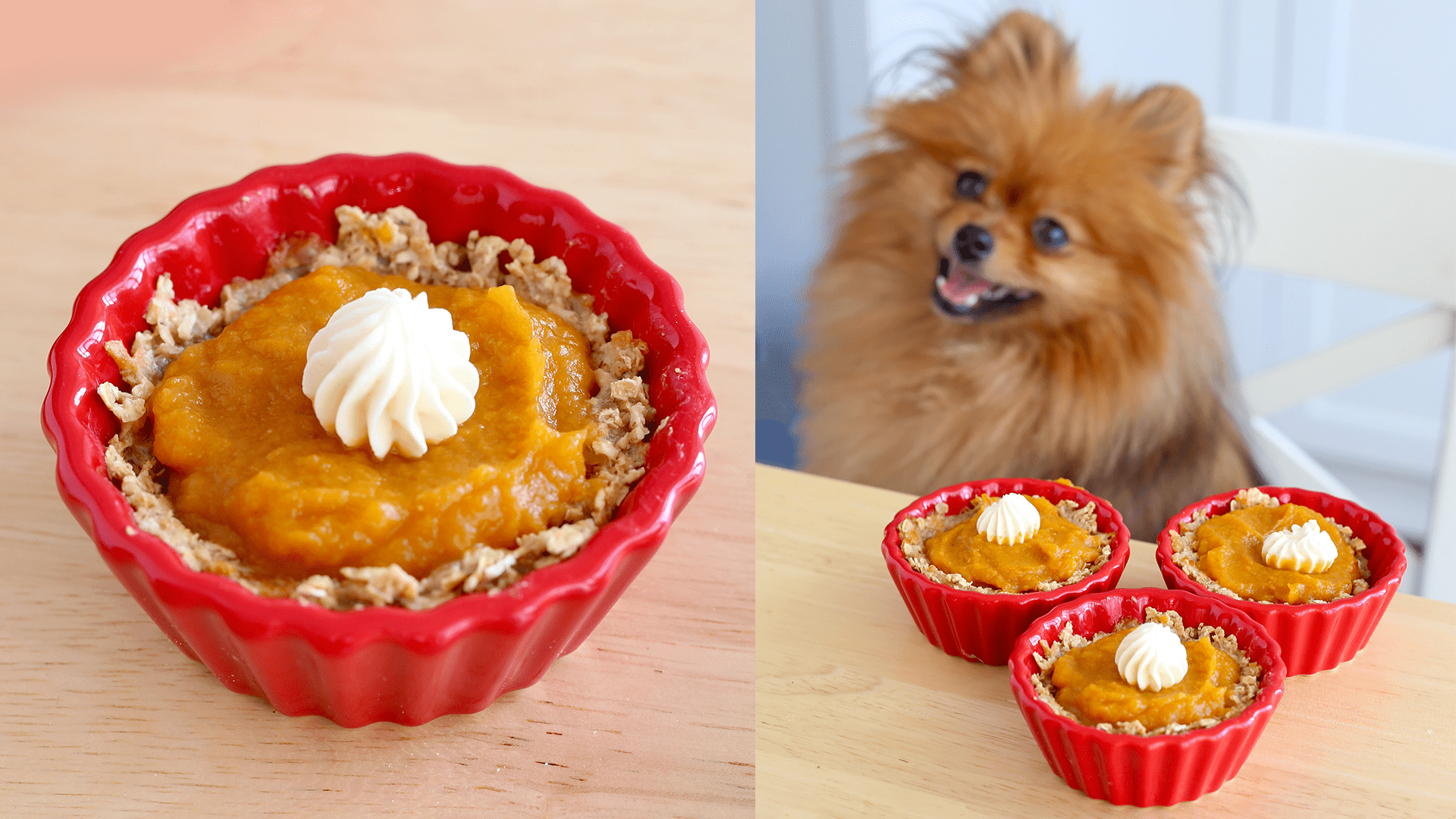 Is pumpkin pie hot sale good for dogs