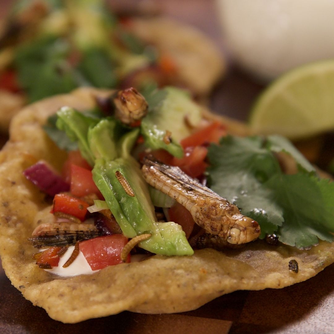 Tacos In Cricket Shells Tastemade