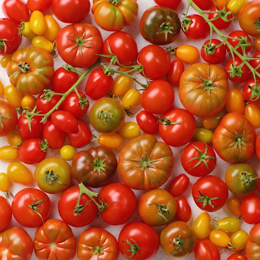 tomato-tart-tastemade