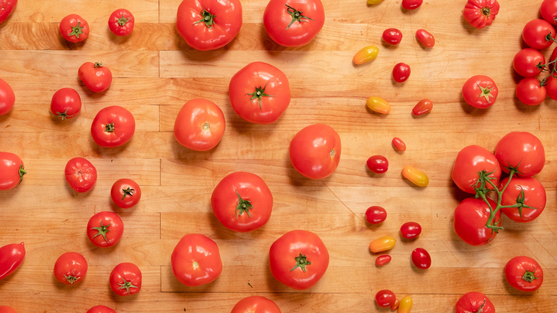 Best 500+ Cherry Tomato Pictures | Download Free Images on Unsplash